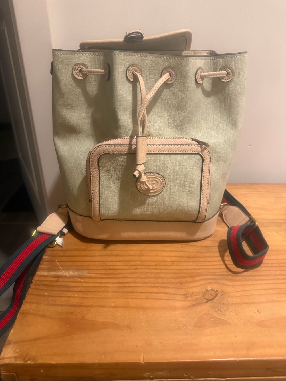Gucci solid leather back pack BRAND NEW
